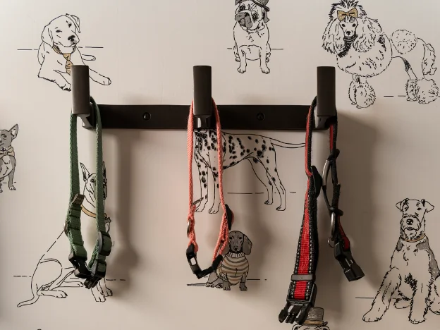 Modern pet washing station with functional design and stylish fixtures